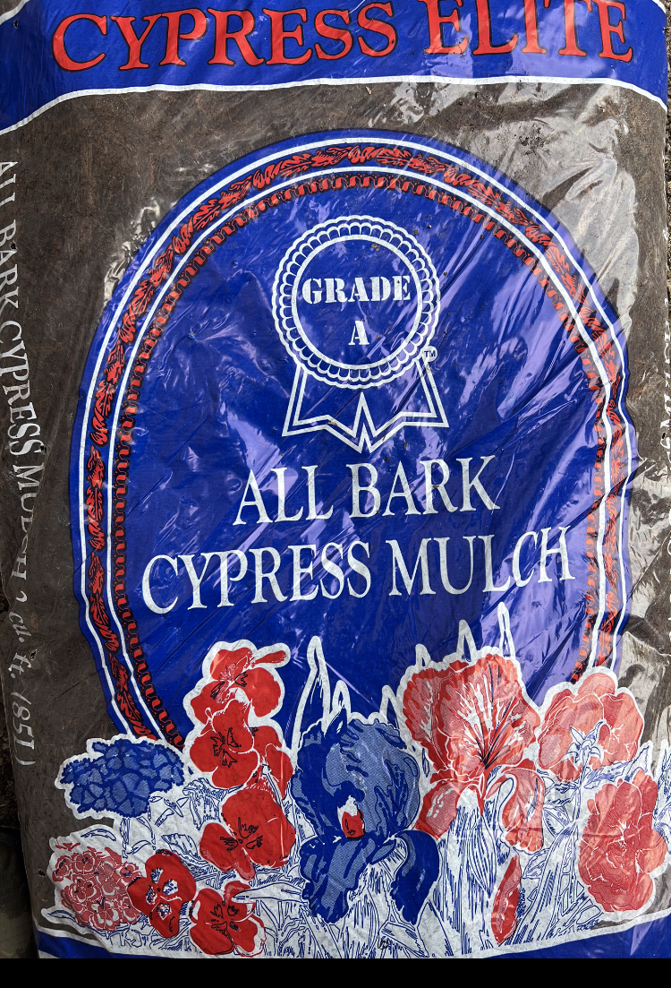 Grade A Cypress – Frank Otte Nursery and Garden Center