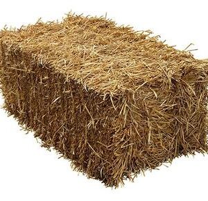 Straw